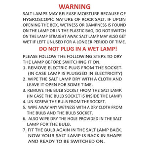 Himalayan Rock Salt Lamp | 2-3Kg