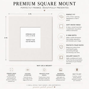8x8" for 4x4" Image Mount | Soft White