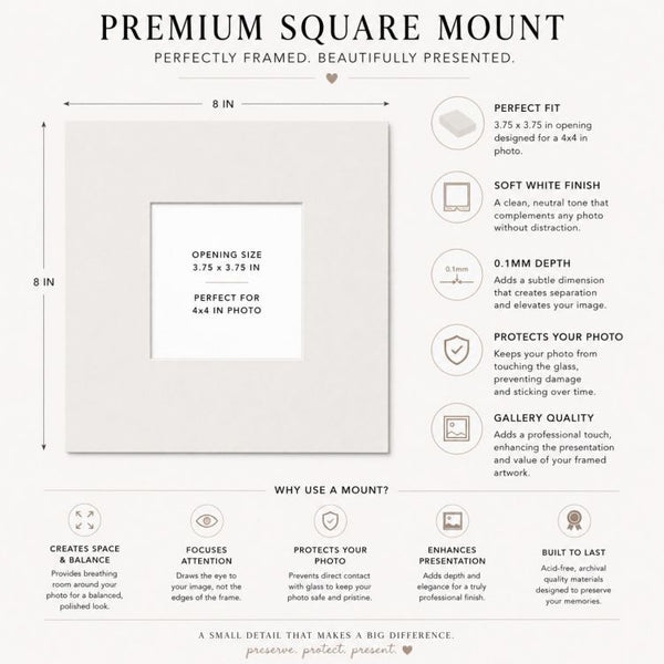 8x8" for 4x4" Image Mount | Soft White