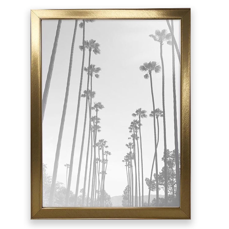 A2 Frame | Richmond Gold