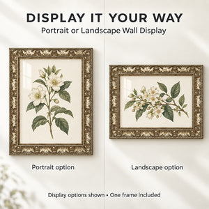 A2 Ornate Antique Frame | Champagne Silver