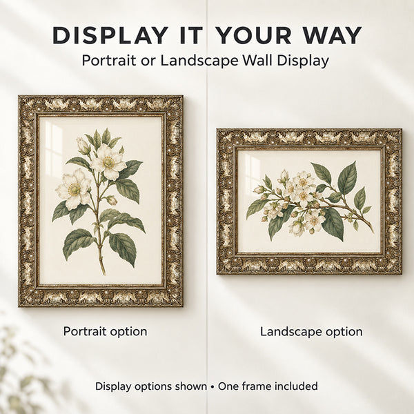 A2 Ornate Antique Frame | Champagne Silver