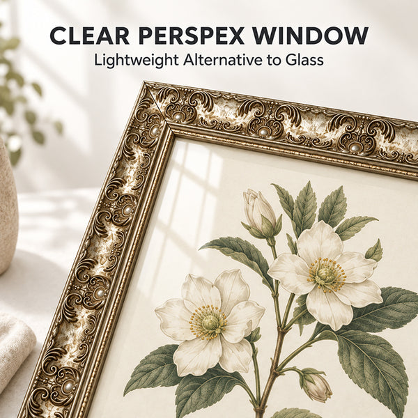 A2 Ornate Antique Frame | Champagne Silver