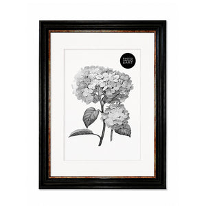 A2 Shabby Chic Poster Frame For A3 Print With Mount | Vintage Black