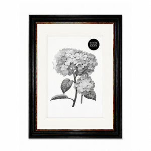 A2 Shabby Chic Poster Frame For A3 Print With Mount | Vintage Black