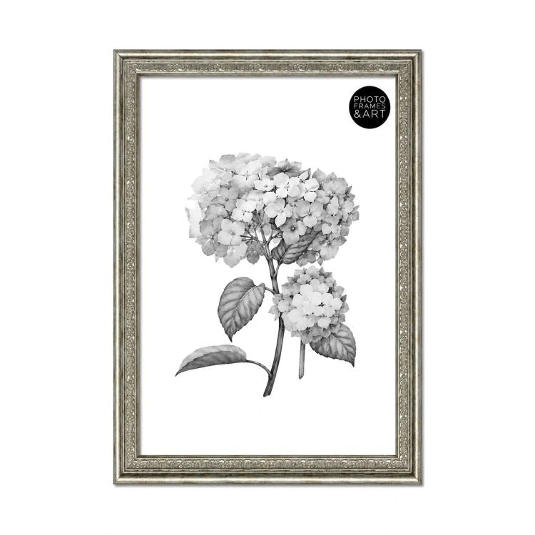 A2 Traditional Antique Style Photo Frame | Champagne Silver