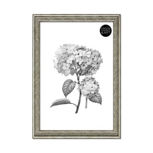 A2 Traditional Antique Style Photo Frame | Champagne Silver