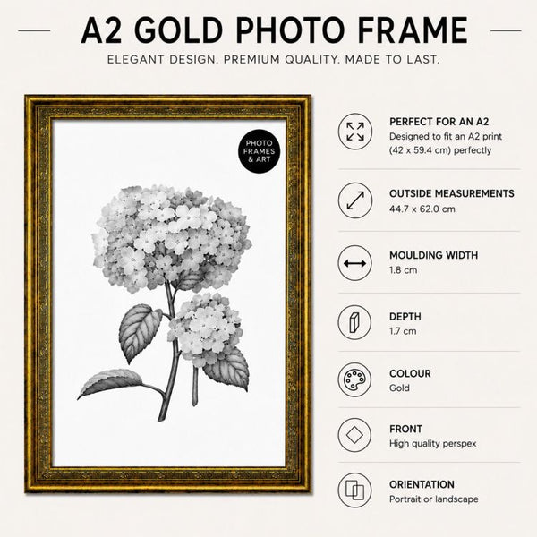 A2 Traditional Antique Style Photo Frame | Gold