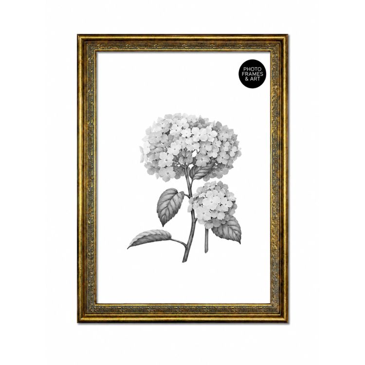 A2 Traditional Antique Style Photo Frame | Gold