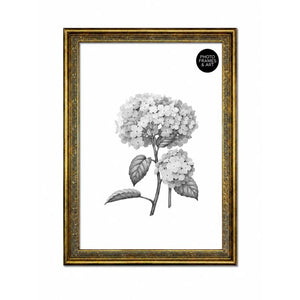 A2 Traditional Antique Style Photo Frame | Gold