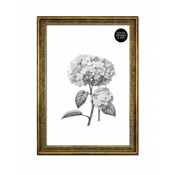 A2 Traditional Antique Style Photo Frame | Gold