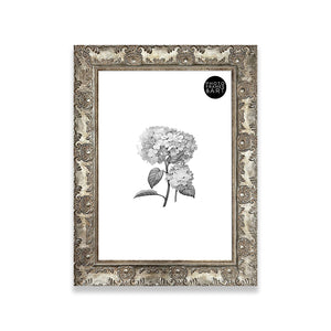 A3 Ornate Antique Frame With Glass | Champagne Silver