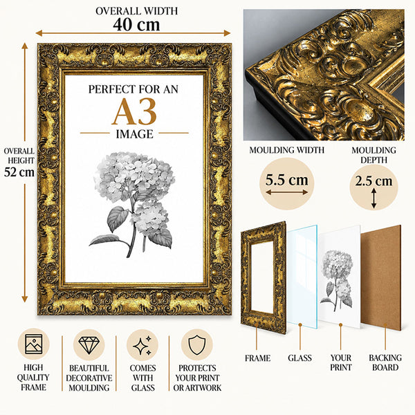A3 Ornate Antique Frame With Glass | Gold