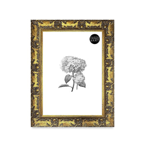 A3 Ornate Antique Frame With Glass | Gold