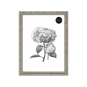 A3 Traditional Antique Style Photo Frame | Champagne Silver