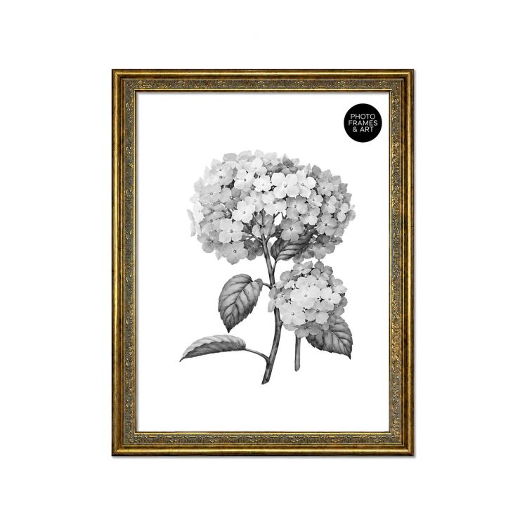 A3 Traditional Antique Style Photo Frame | Gold