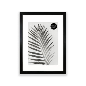 Gallery Wall Set  | 6 Frames