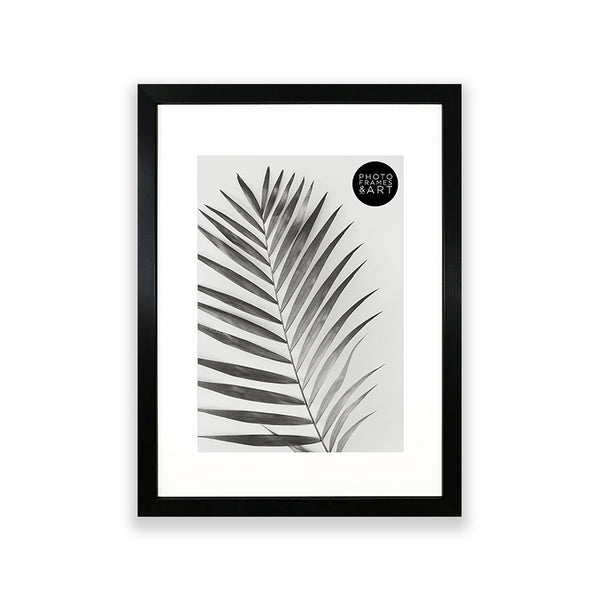 Gallery Wall Set  | 6 Frames