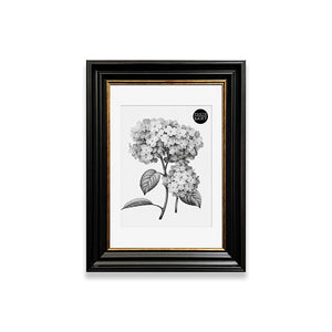 A4 Shabby Chic Picture Frame With Mount | Vintage Black