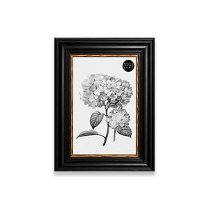 A5 Black Frame | Vintage