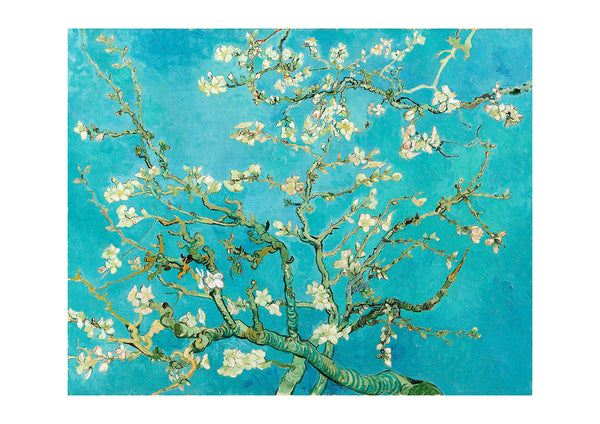 Almond Blossom by Vincent Van Gogh