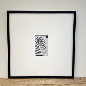 Oversized Mount Wooden 18x18 Black Frame for 6x4 with a Photo of a Plant and PF&A Logo