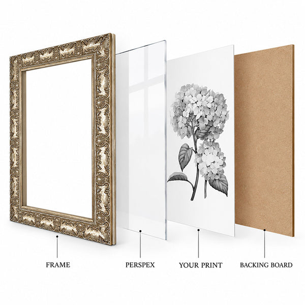 A2 Ornate Antique Frame | Champagne Silver