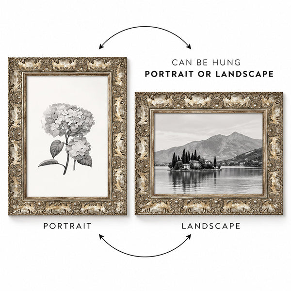 A4 Ornate Antique Frame With Glass | Champagne Silver
