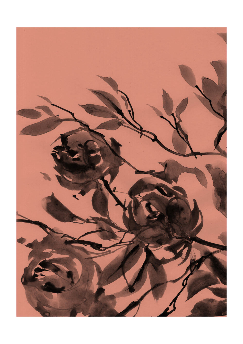 Mono Botanical 4 | Dan Hobday