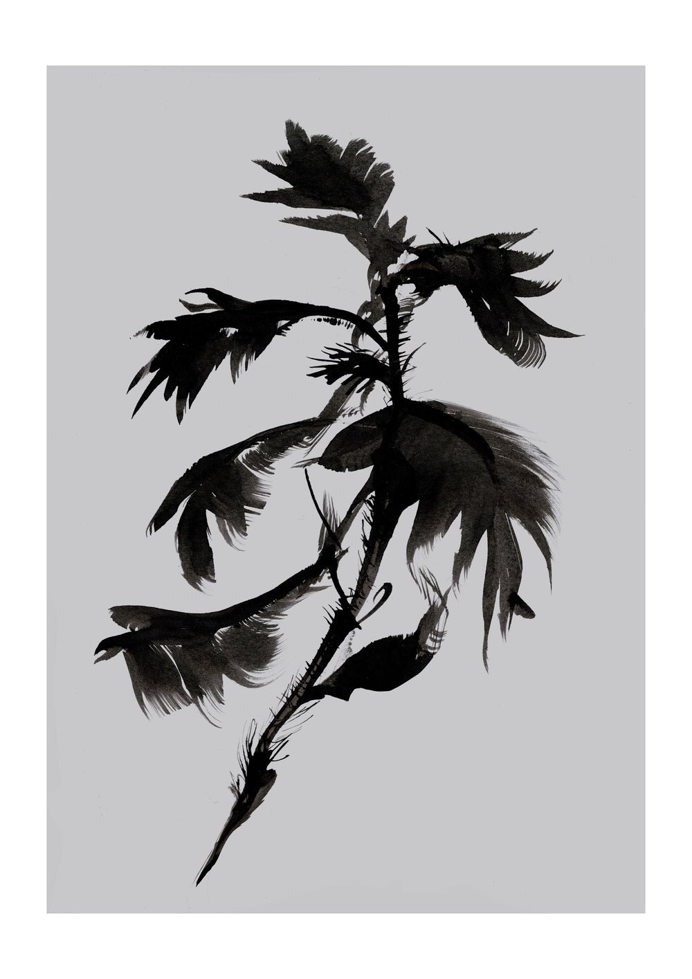 Mono Botanical 10 | Dan Hobday