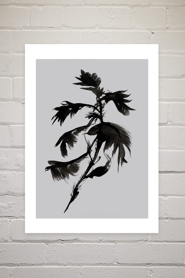 Mono Botanical 10 | Dan Hobday