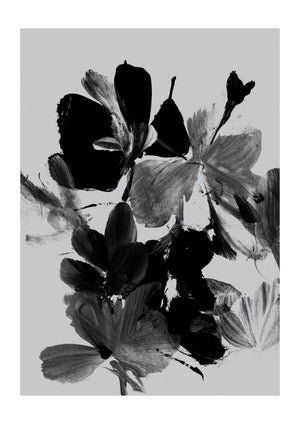 Mono Botanical 11 | Dan Hobday
