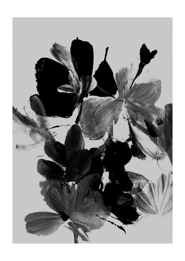 Mono Botanical 11 | Dan Hobday