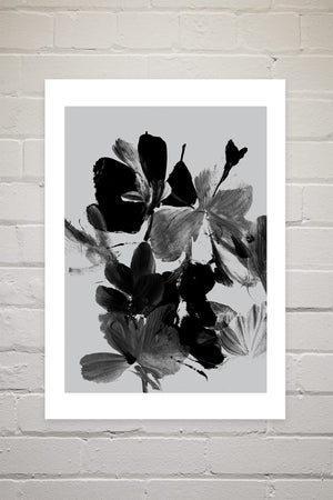 Mono Botanical 11 | Dan Hobday