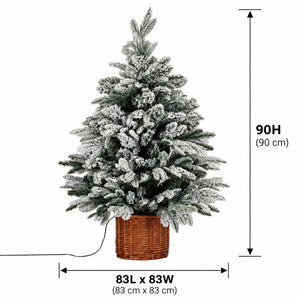 Norway Fir Pre-Lit Tree In Rattan Pot | 90cm