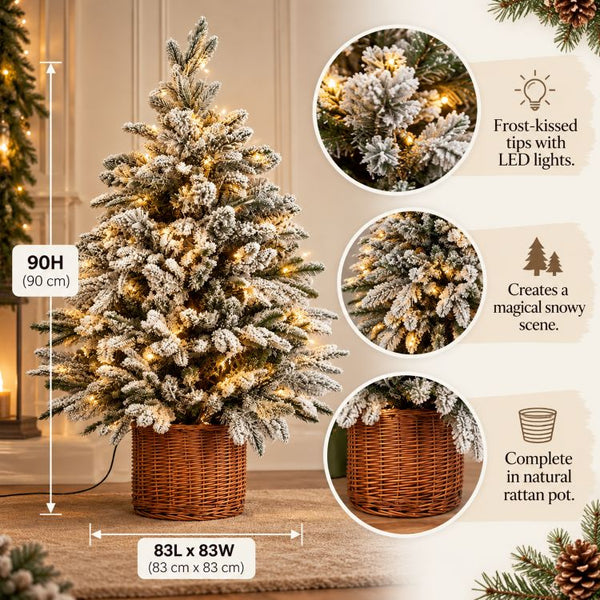Norway Fir Pre-Lit Tree In Rattan Pot | 90cm