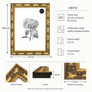 A2 Ornate Antique Frame | Gold