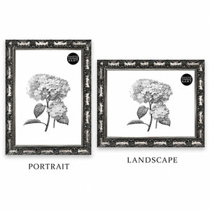 A2 Ornate Antique Frame | Gunmetal Silver