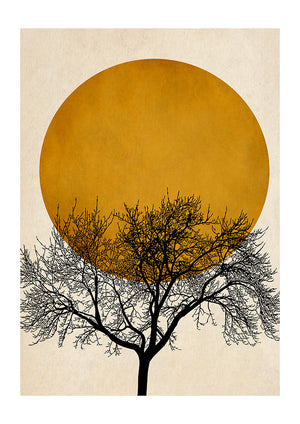 Winter Morning by Kubistika