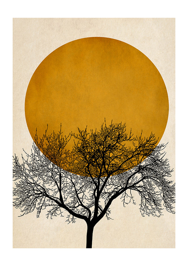 Winter Morning by Kubistika