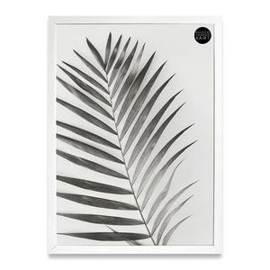50x70cm White Frame | Milano