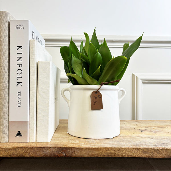 White Ceramic Milk Churn Vases | 2 Sizes Available