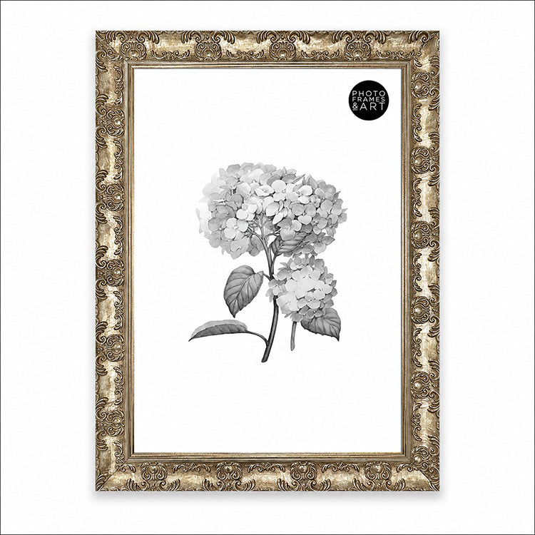 A2 Ornate Antique Frame | Champagne Silver