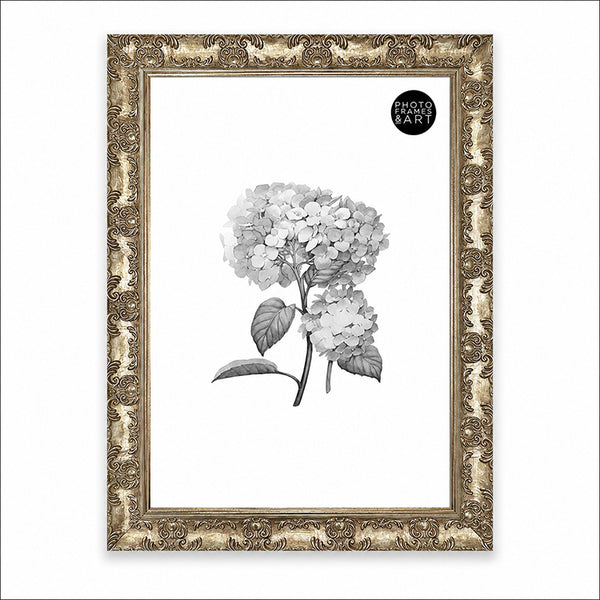 A2 Ornate Antique Frame | Champagne Silver