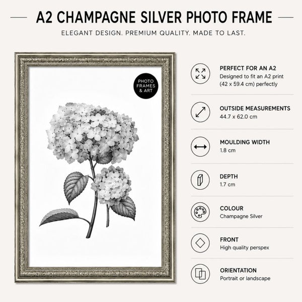 A2 Traditional Antique Style Photo Frame | Champagne Silver