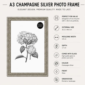 A3 Traditional Antique Style Photo Frame | Champagne Silver