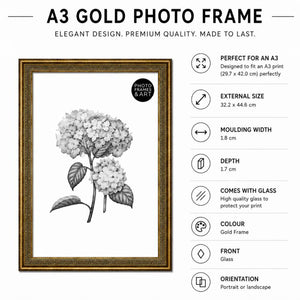 A3 Traditional Antique Style Photo Frame | Gold