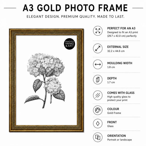 A3 Traditional Antique Style Photo Frame | Gold