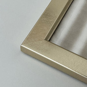 Everyday 12x10 Picture Frame | Classic Champagne Silver