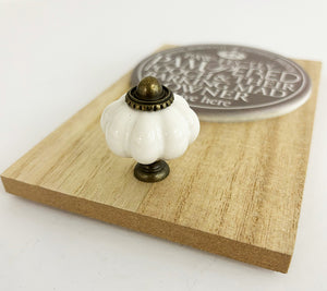 Pampered Pooch | Wooden Hook